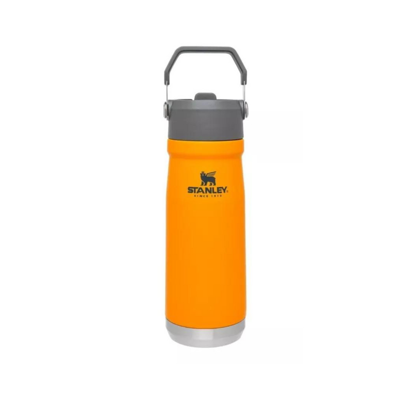 Cargue la imagen en el visor de la galería, Botella térmica Stanley Flip Straw 650ml